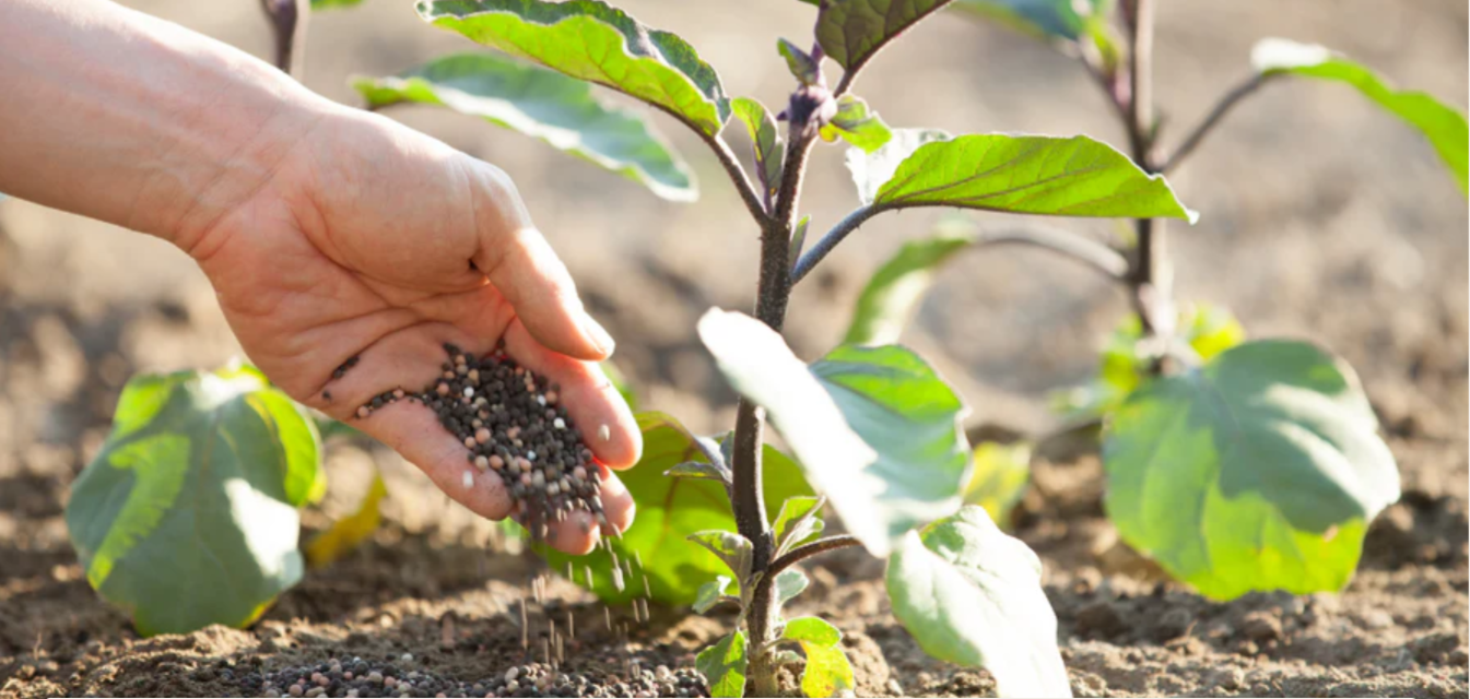 Entretien écologique du jardin