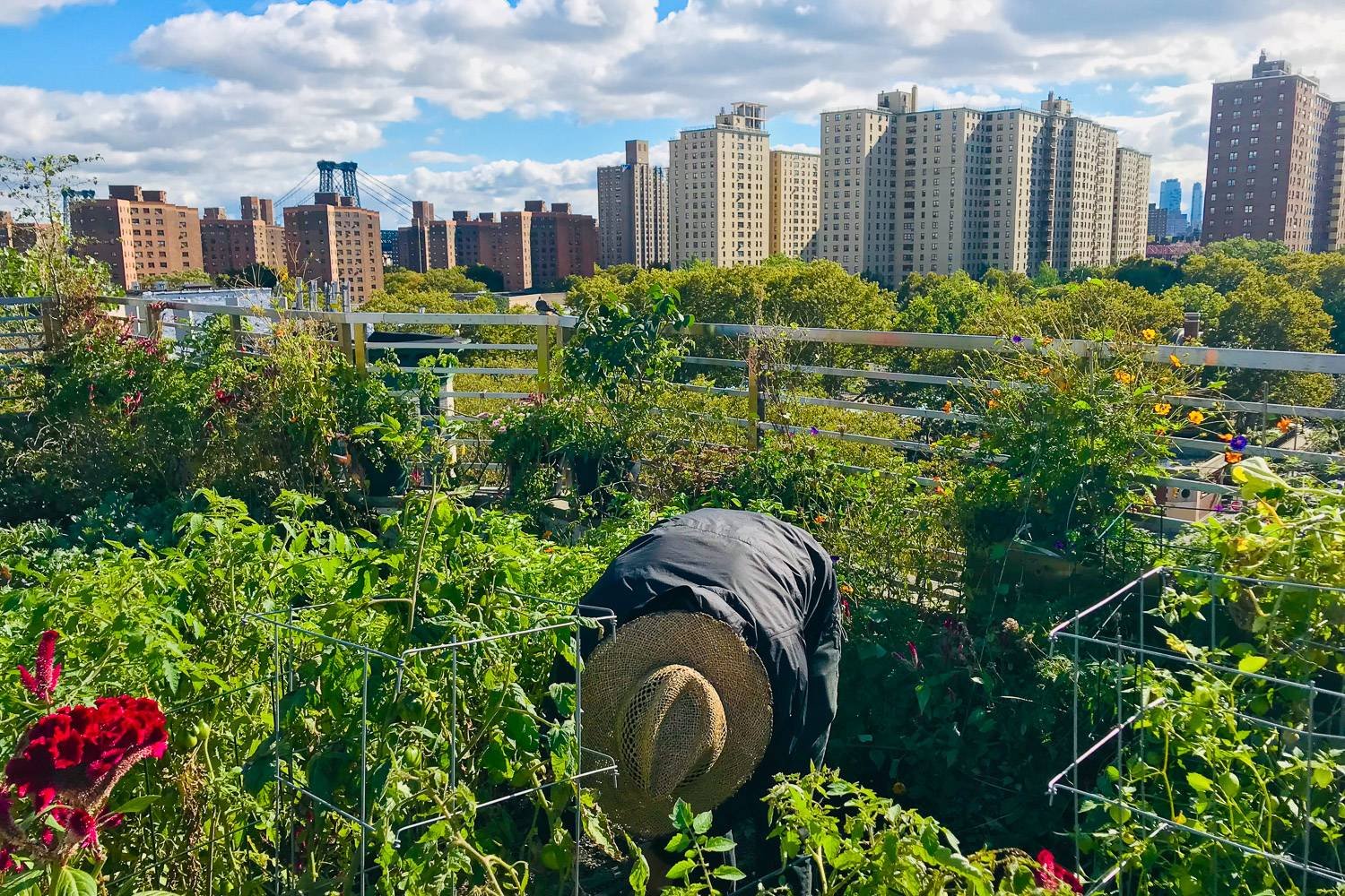 Favoriser la biodiversité locale
