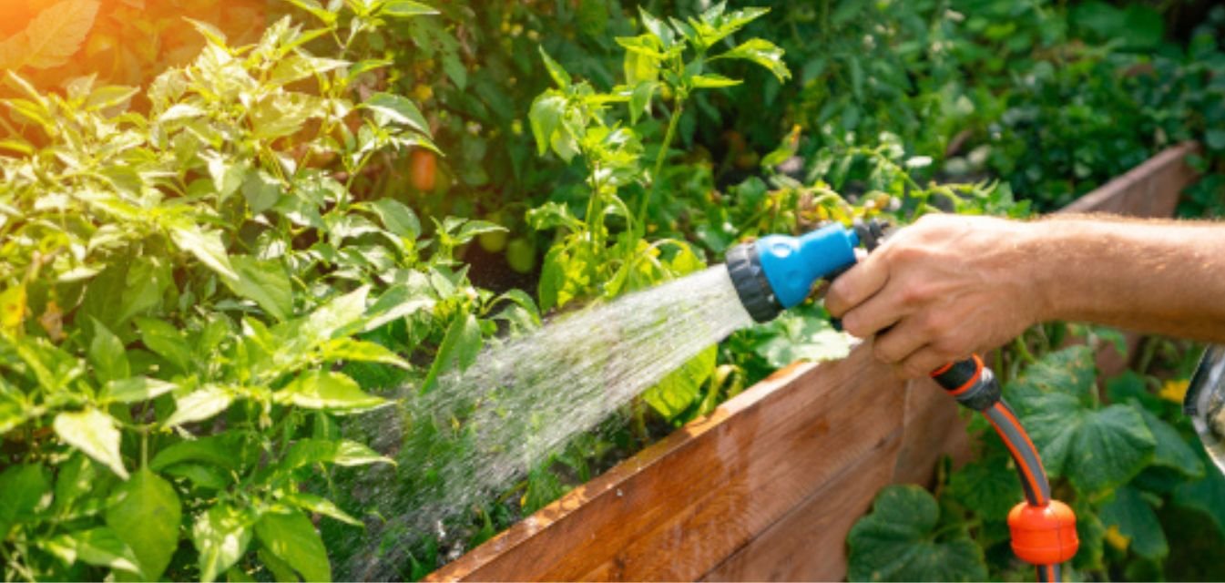 Entretien écologique du jardin