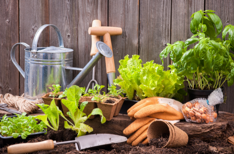 Alternatives écologiques aux Outils de jardinage