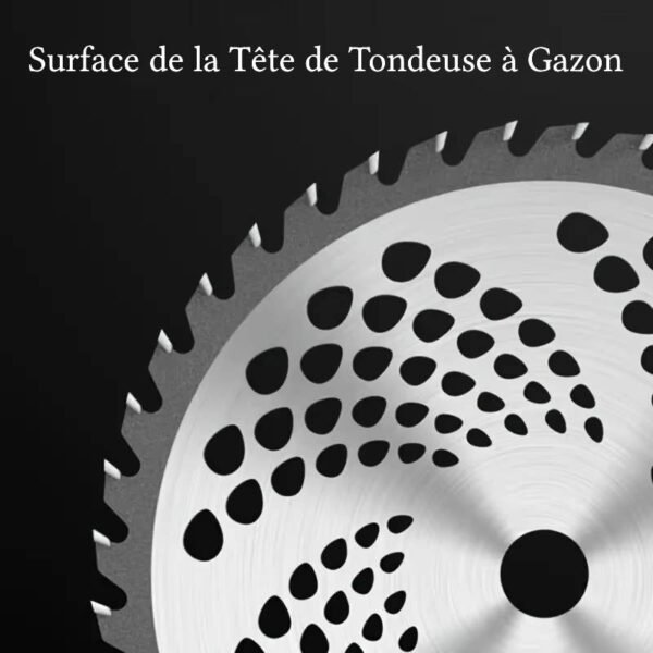 tête de tondeuse à gazon