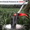 Petite tondeuse à gazon électrique