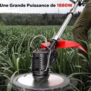 Petite tondeuse à gazon électrique