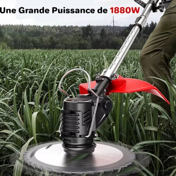 Petite tondeuse à gazon électrique