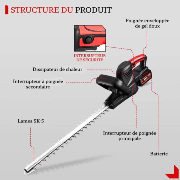Eléments constitutifs