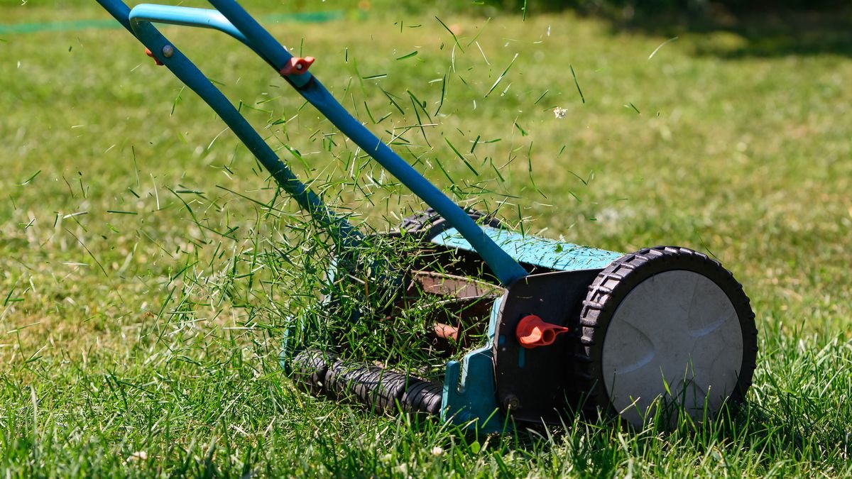 Alternatives aux outils de jardinage 