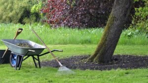 Entretien de jardin