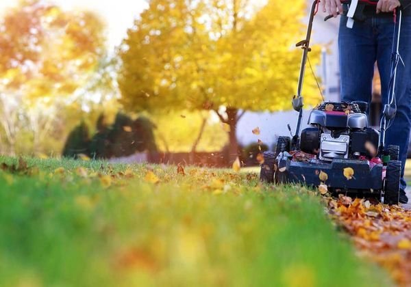 Pelouse tondu en automne