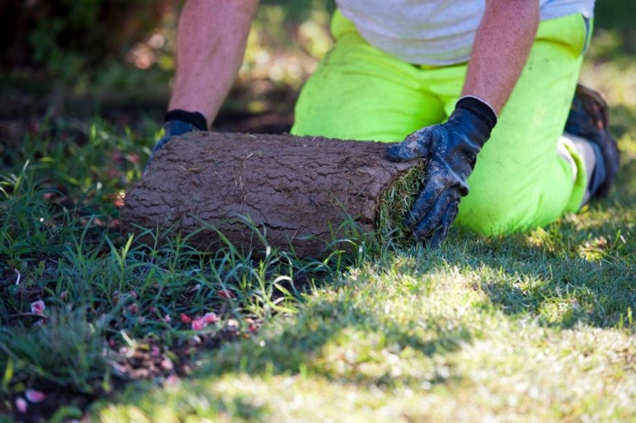 Entretenir son sol sans produits chimiques