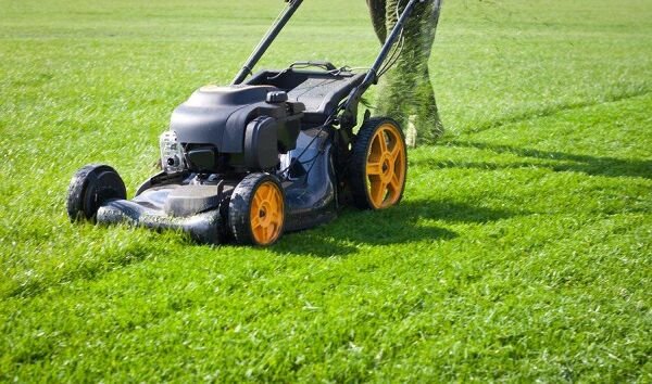 Tondeuse mulching