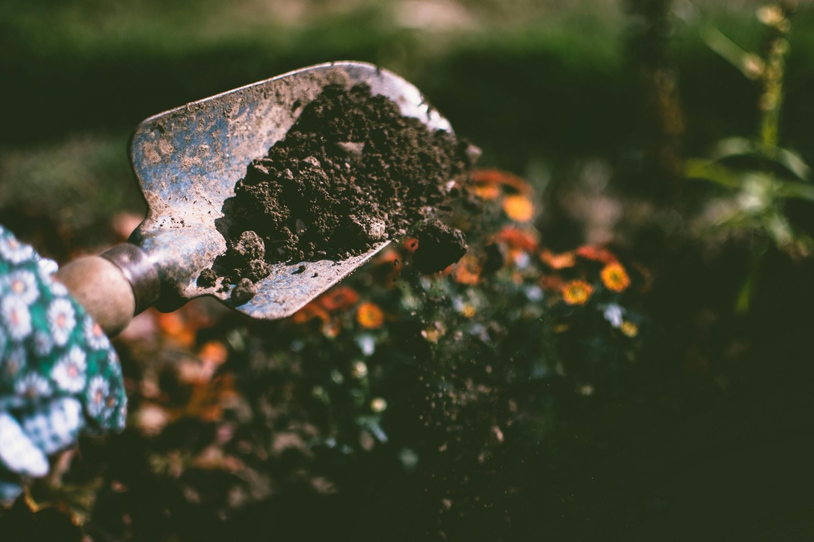 préparer son jardin au printemps