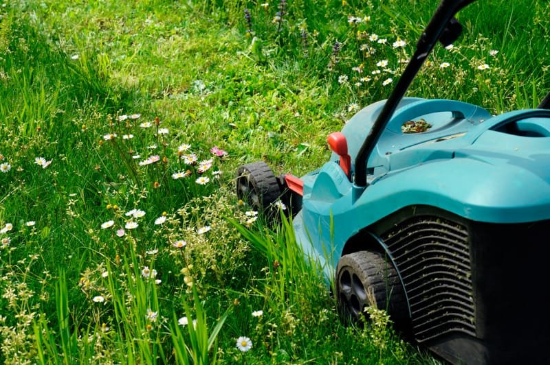 Accessoires pour une tonte de gazon efficace