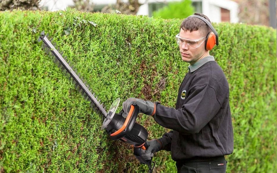 Entretien haie avec taille-haie