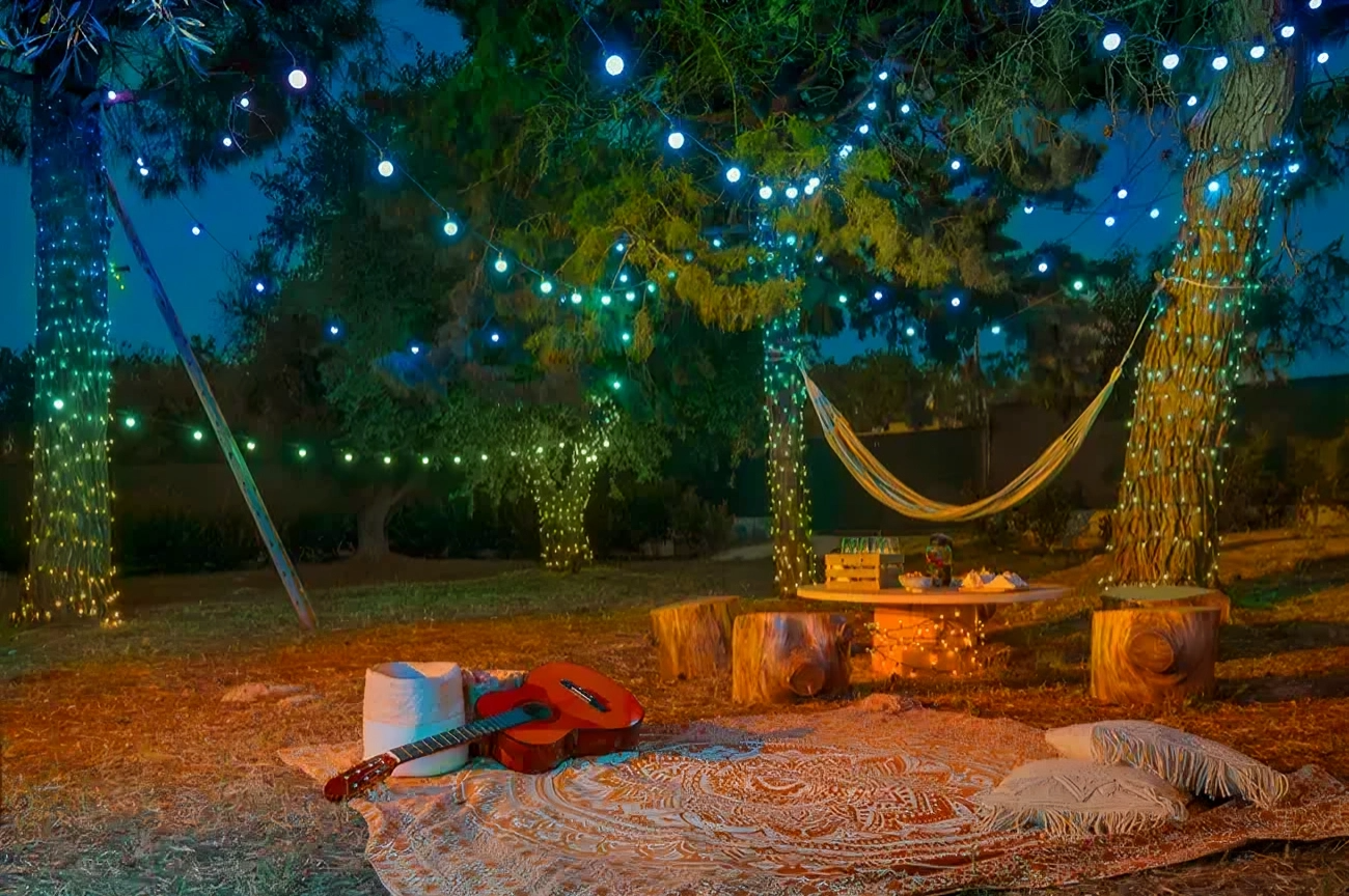Comment illuminer votre jardin pour une soirée magique ?